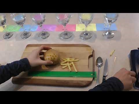 Osmosis in Potato - At Home Experiment