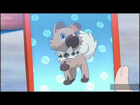 Rockruff Pokédex Entries..wmv