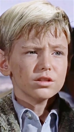 💥 Der stolze Rebell 😉1958 Alan Ladd David Ladd Harry Dean Stanton Dean Jagger Tom Pittman #alterfilm