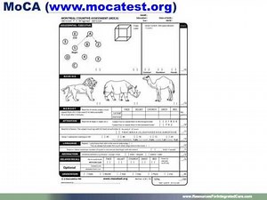 Geriatrics-Competent Care: Geriatric Assessment