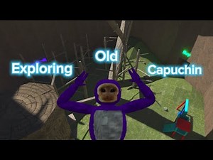 Exploring OLD capuchin vr