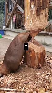 Yannick Dimou on Reels