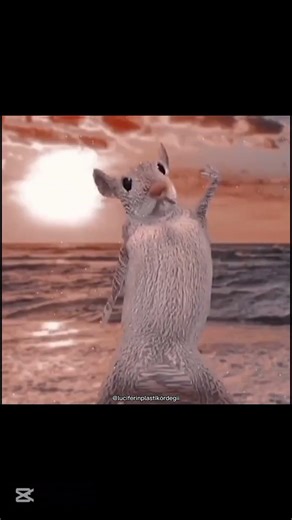 hazbincimizyiz#hazbinhotel #kesfetacillll #alastor #hh #lucifermorningstar #radioapple