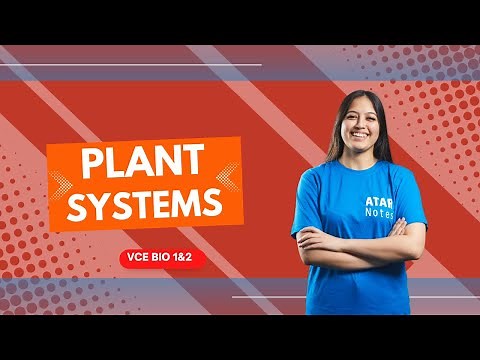 Plant Systems | VCE Biology 1&2