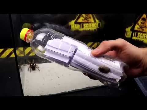 ARAÑA Y UN ESCORPIÓN