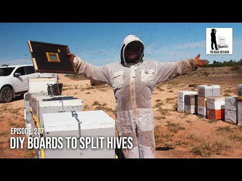 Split Hive Tips: How to Split a Beehive & Using DIY Boards to Split Bees | The Bush Bee Man