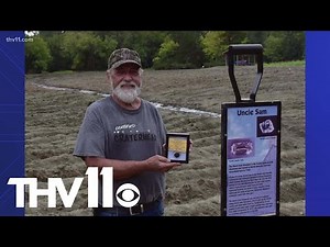 Arkansas man finds 35,000 diamond at Crater of Diamonds State Park