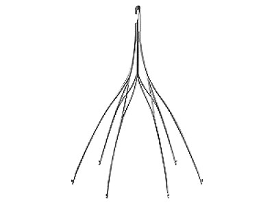 Option™ ELITE Inferior Vena Cava Filter System - Arman Behboud Aria | Experts Focus on You