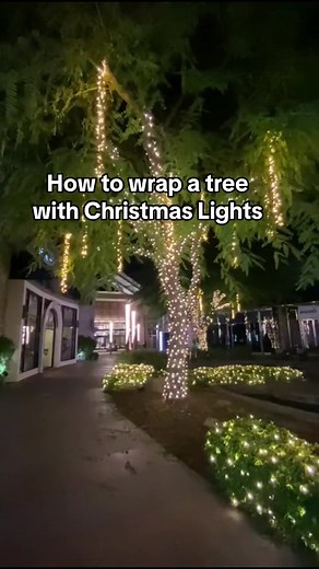 How to wrap a tree with Christmas Lights #treelighting #treelights #christmaslighting #stnickschristmaslighting