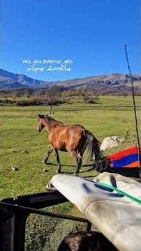 Гора Димац ⛰️ #армения #armenia #горы #димац