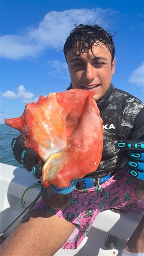 Nicolas Kratka on Instagram: "Have you ever seen this? #shell #shells #shelling #conch"