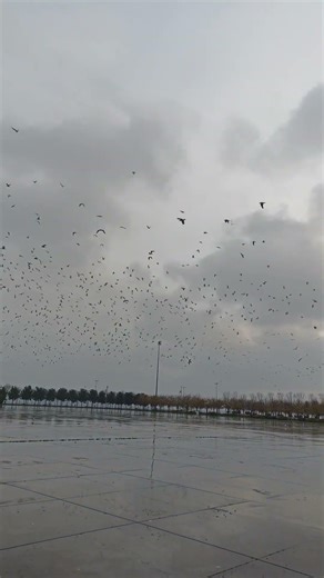 Maltepe Sahil etkinlik alanı