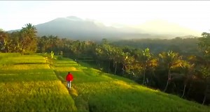 Ketua STP Mataram Sebut Desa Tetebatu Bisa Jadi Wisata Terbaik Dunia, Namun Ada yang Perlu Dipenuhi - Tribunlombok.com