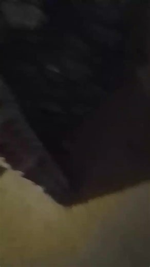 Os vídeos de vlade (@vlade720) com som original - vlade