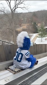 373K views · 7.7K reactions | I. AM. SPEED Indiana State Parks Pokagon State Park Indiana Department of Natural Resources | Blue Indianapolis Colts Mascot | Facebook