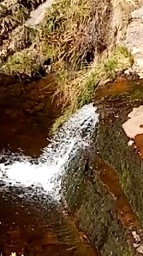 Waterfall of Limestone Brook Lead Mines Clough Rivington Lanc UK wild nature countryside outdoors 2