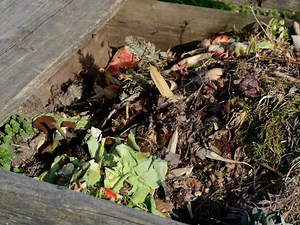 Student-led Composting Program Cultivates Waste
