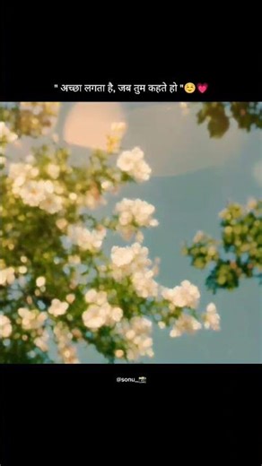 new shayari #newshayarivideo #trendingshorts #newhindisongs #trandingshayarivideo #love #shayari📈💗