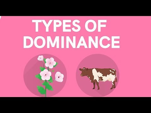 TYPE OF DOMINANCE, explained better | grade 12 life sciences | M.SAIDI ThunderEDUC.
