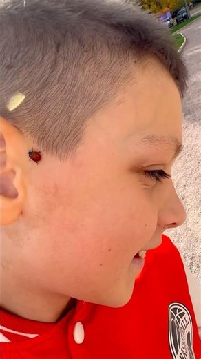 Hello lady bug 🐞 #top