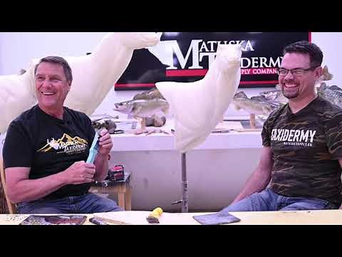 Learn Taxidermy: Part 3 - Form Alterations