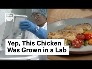 How Chicken Is Being Grown in Labs
