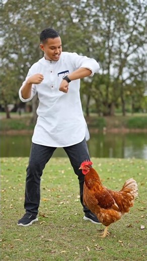 Teaching Chicken Dance 🐔 #viral #chicken