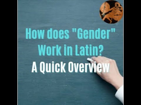 How does Gender work in Latin?