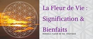 Fleur de Vie : Signification, Bienfaits & Utilisation [Guide 2025]
