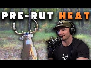 The Calm Before the Rut | Hunt Companion