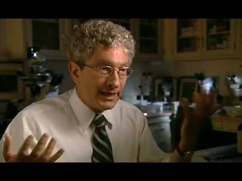 Part 5 of 5 - Cloning the first Human - BBC Horizon