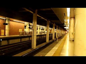 E2系1000番台+E3系2000番台 上野駅通過