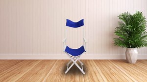 30" Director's Chair Black Frame-Black Canvas