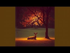 Evening Serenity – Calm Yoga Relaxation