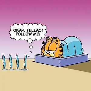 53K views · 5.5K reactions | just another existential birthday dream | Garfield | Facebook