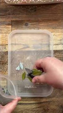 Quick “extra pieces left” Tip