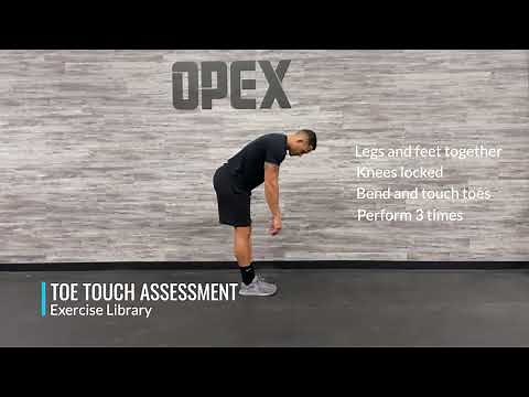 Toe Touch Assessment