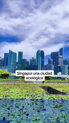 Maestría en Ciudades Inteligentes en Singapur