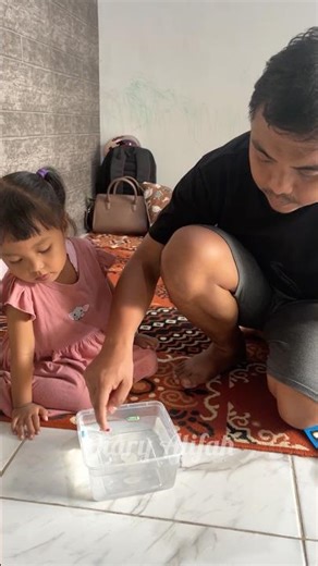 Mainan Kapsul Obat Ajaib Berubah Jadi Hewan Laut ‼️