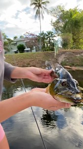 MY FISH HAS BATTLE SCARS 🐟 Full Video: https://youtu.be/FJXn_A4UknU 🙌🏼 SUPPORT OUR CHANNEL: We appreciate each and every one of you following us on our journey! By shopping through our site you are helping support the Gale Force channel which helps us continue our mission to inspire families, women and children to get outdoors, fish, be bold and have fun! 😆 We love you all 💕 Tight lines 🎣 🛍 Gale Force Gear: https://GaleForceFishing.com/shop 🎣 Follow US 👩‍✈️👩‍✈️ Facebook | http://Facebo