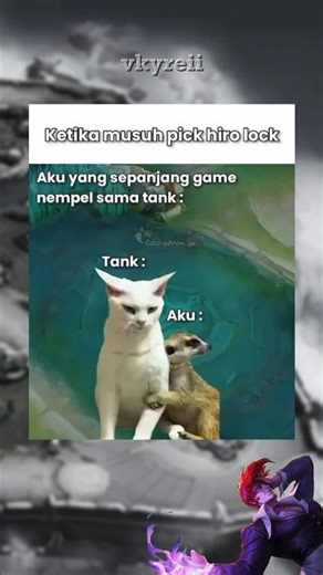 Roamer yang udah muak belike 🗿#exe