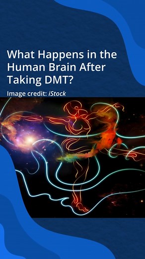 Check out our top story highlights from the week! 👀 All links are in the comments. | The Science Explorer