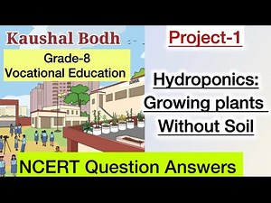 Class 8 | Vocational Education NCERT Question | Project 1 | Hydroponics: Growing plants without Soil
