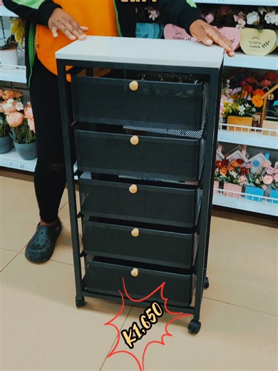 Affordable Storage Solutions for Every Room