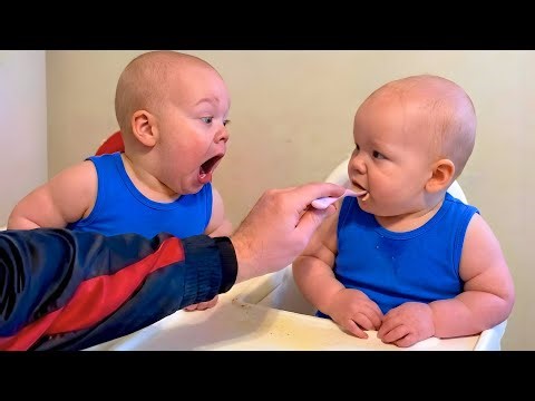 Try Not To Laugh With Best HILARIOUS Baby Videos Compilation 2026! 🤣