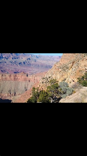 These ravens are HUGE BIRDS!! | Enchanting Garden