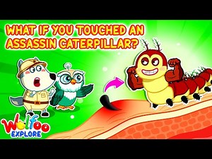 NEW | Wolfoo Explore 🔍 What If You Touch an Assassin Caterpillar? 🐛 Wolfoo Channel | Kids Cartoon