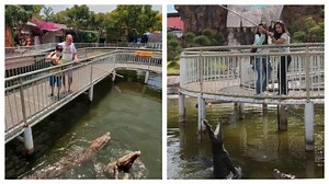 Harga Tiket Masuk Predator Fun Park 2021, Coba Sensasi Menegangkan Beri Makan Buaya di Kolam - Tribun Travel