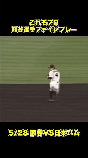【阪神タイガース】熊谷敬宥選手の超絶ファインプレー！【2026年5/28】