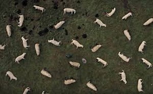 Dark S1E10 Season 1 Episode 10  Watch Stream : Alpha and Omega